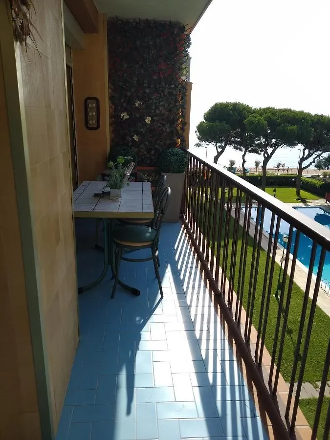 Apartment Bravaholidays-283-Palmeras-3 Blanes